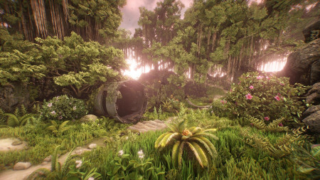 Survival [VR]