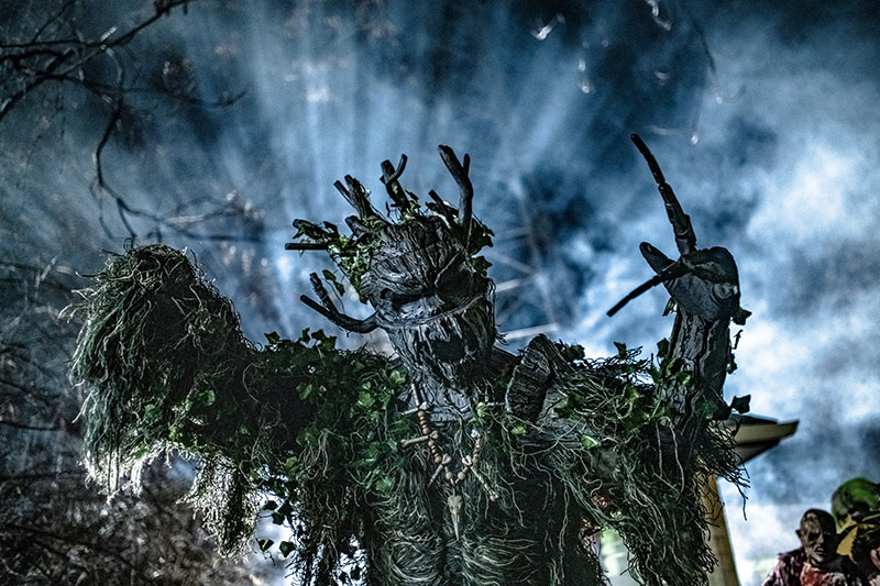 Spirits of the Swamp