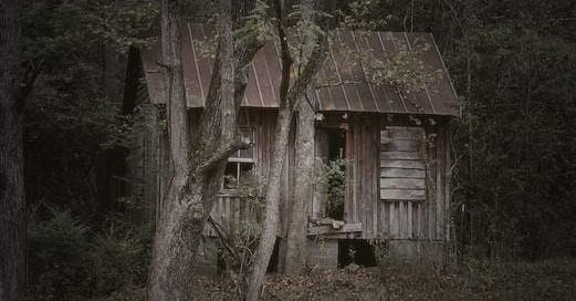 The Cabin