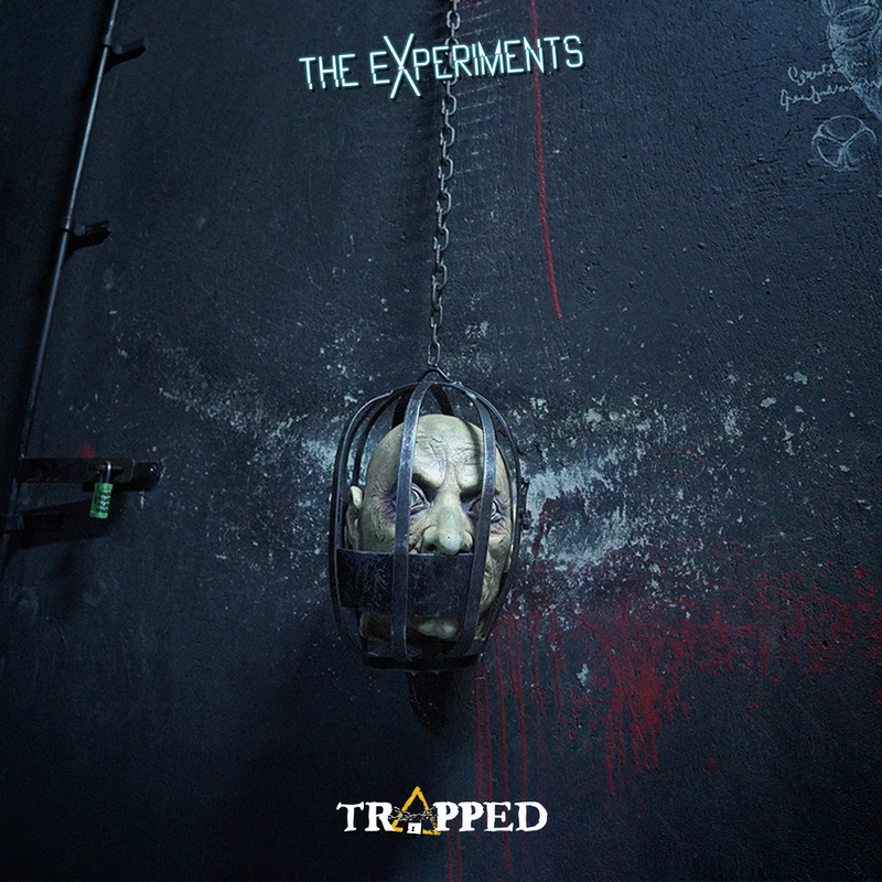 The Experiments