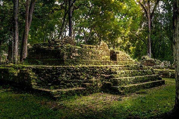 The Temple
