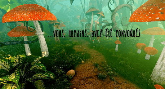 Le Coeur de Nadulritz [French Only]