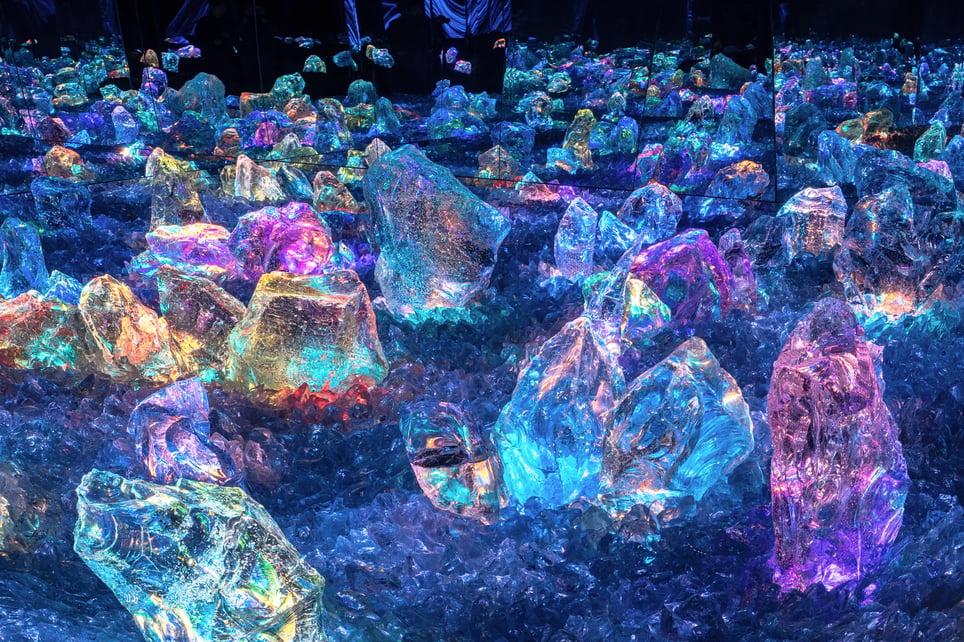 teamLab Biovortex [Immersive Art]