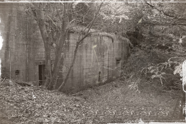 El Refugio [The Shelter]