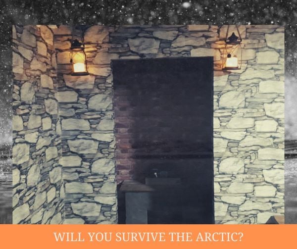Arctic Survival Escape
