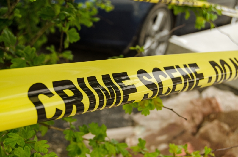 Crime Lab