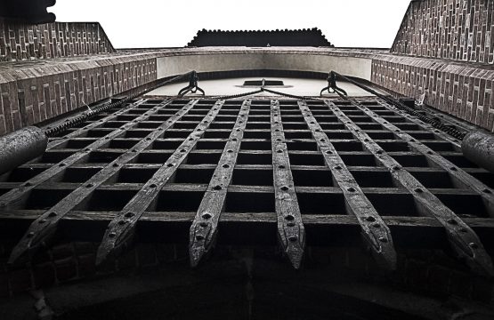 The Castle's Secret