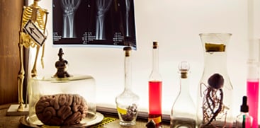 The Lab