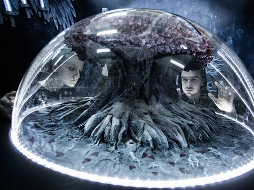 Ice Walker