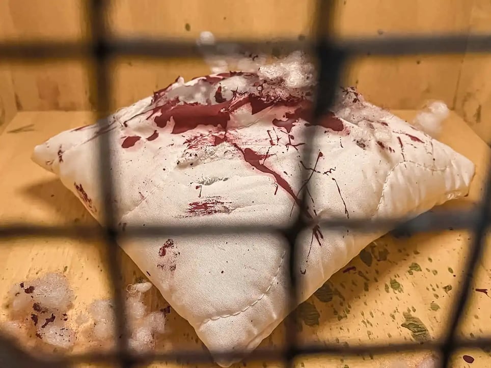 Blutiges Erwachen [Bloody Awakening]