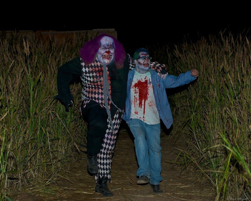 Trail of Terror