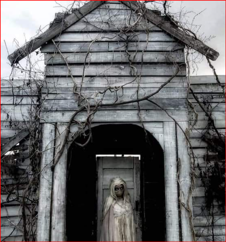 Cursed Acres