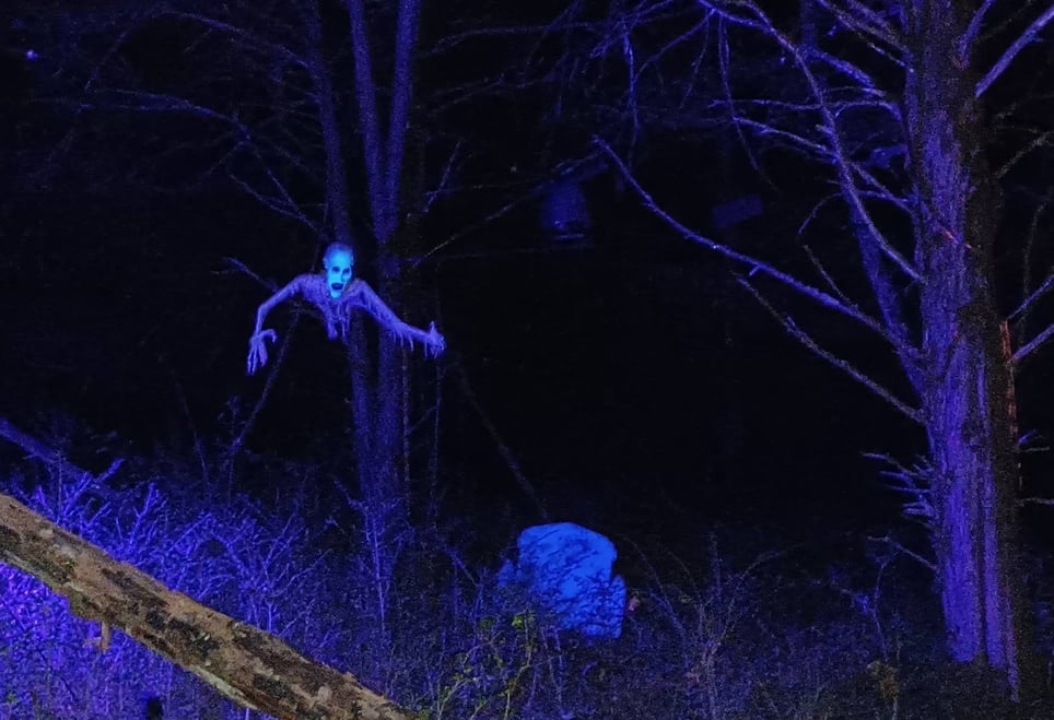Raven's Hollow Haunted Forest