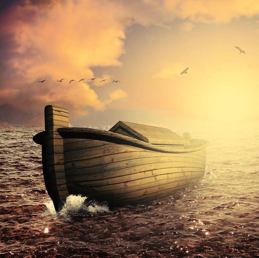Escape the Flood
