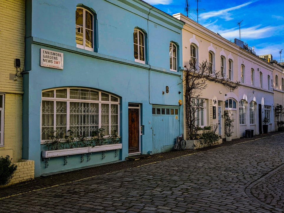 Mysterious Mews [Outdoor]