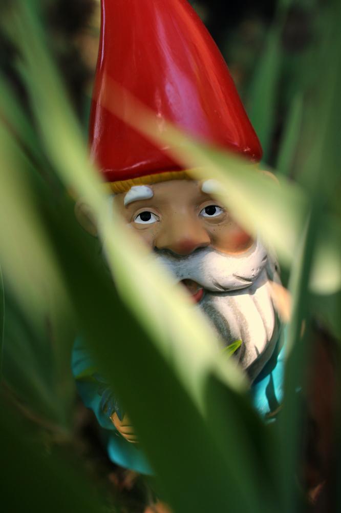 Gnome Or Trouble!