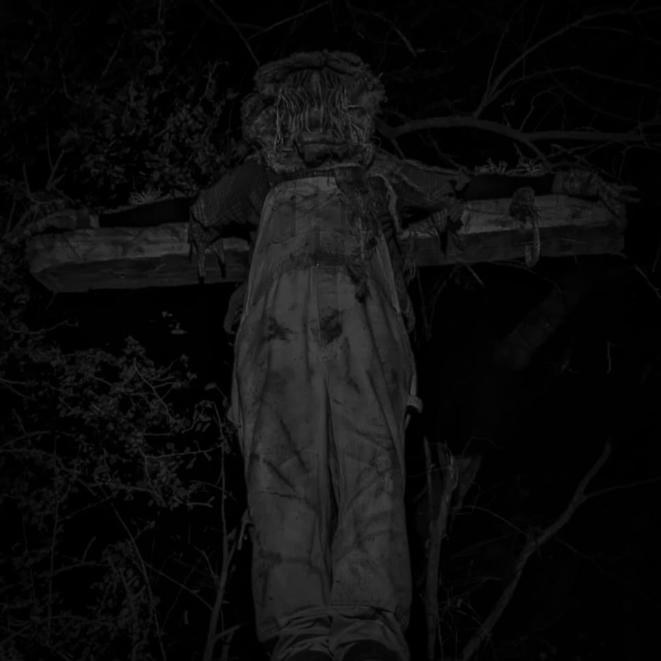 Toynbee's House of Horrors
