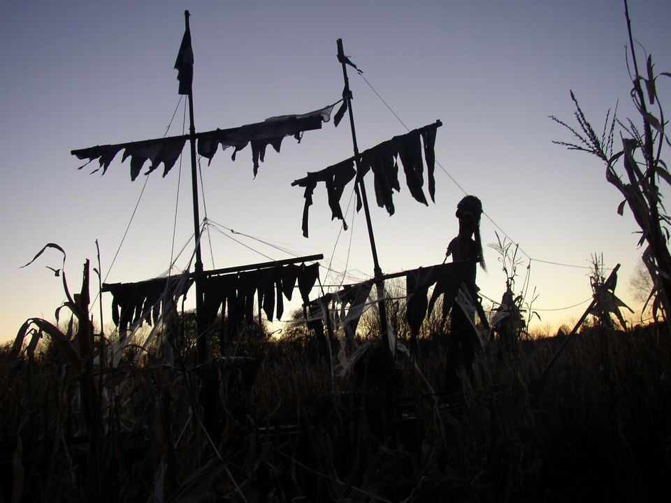 Haunted Forest and Cornfield Adventure