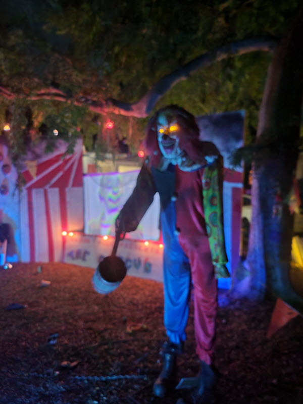 The Circus