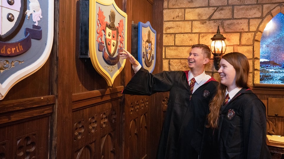 Woodbury's Wizarding School