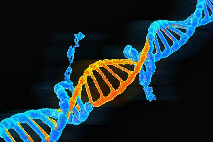 Mutation Protocol