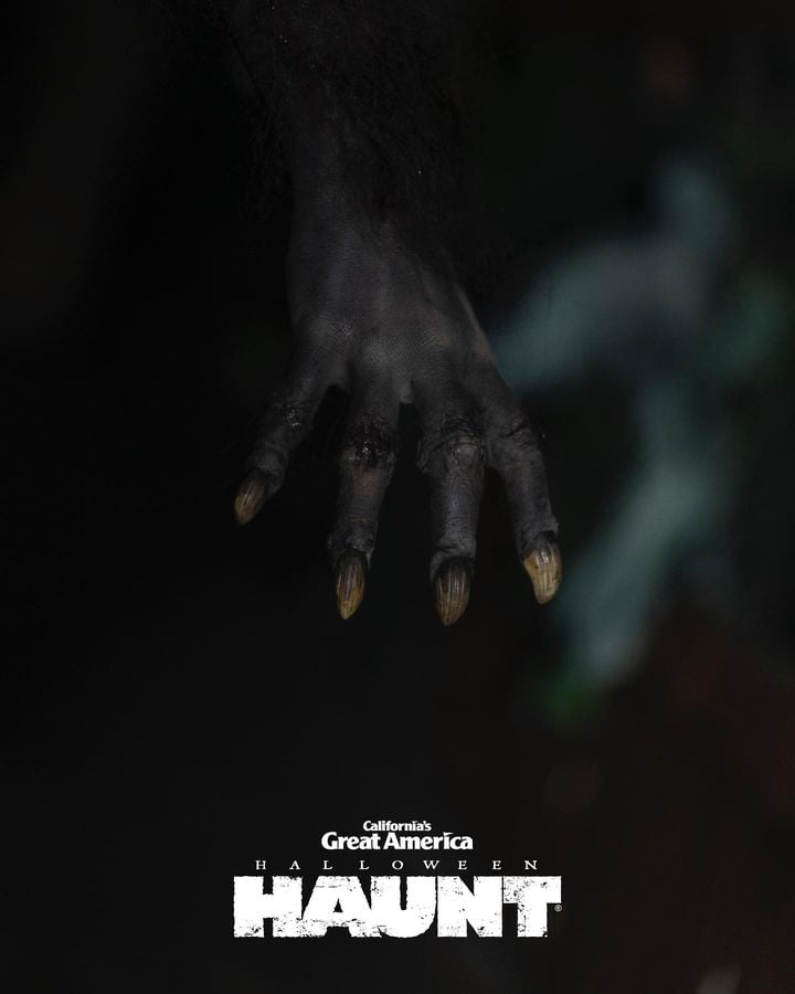 Backwoods