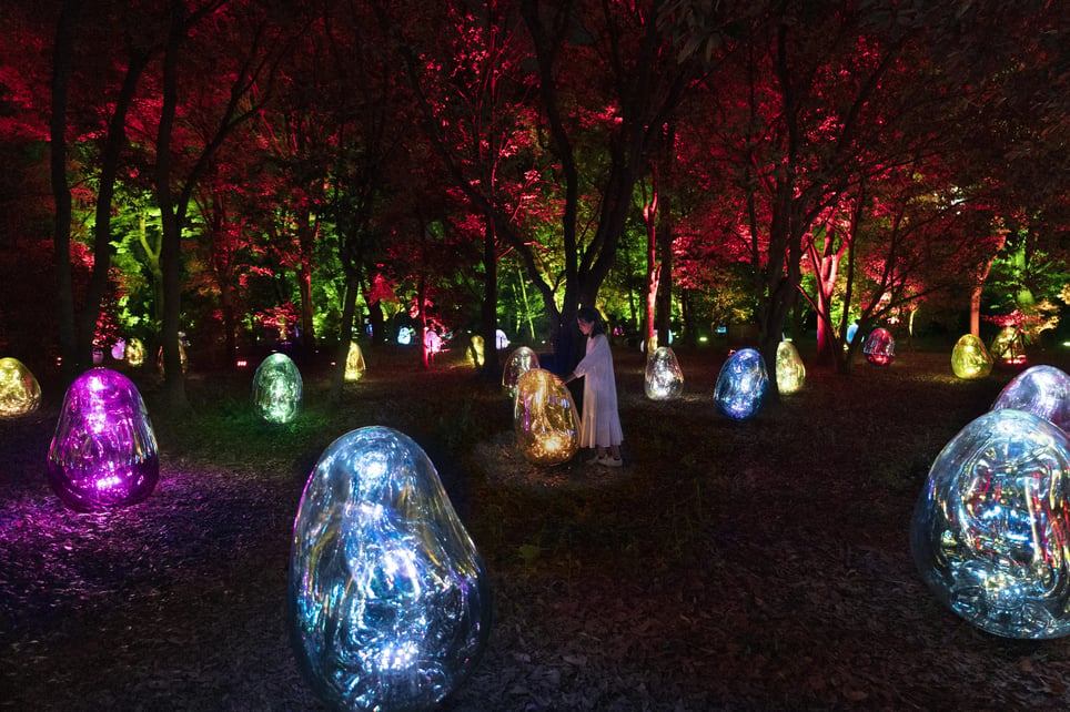 teamLab Botanical Garden [Immersive Art]