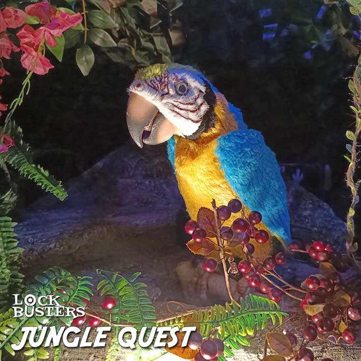 Jungle Quest