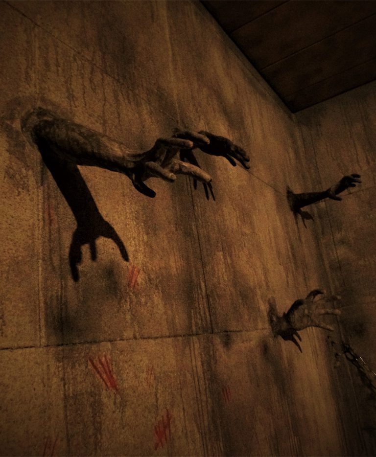 The Asylum