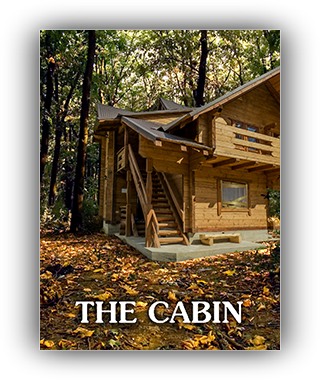 The Cabin