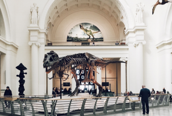 Night At The Museum