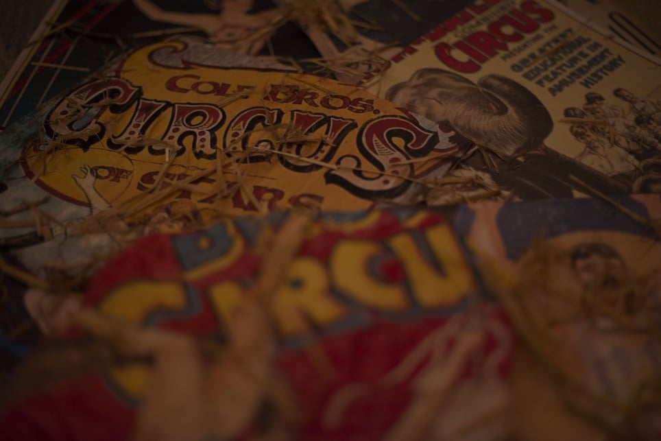 El Circo de los Extraños [The Circus Of Strangers]