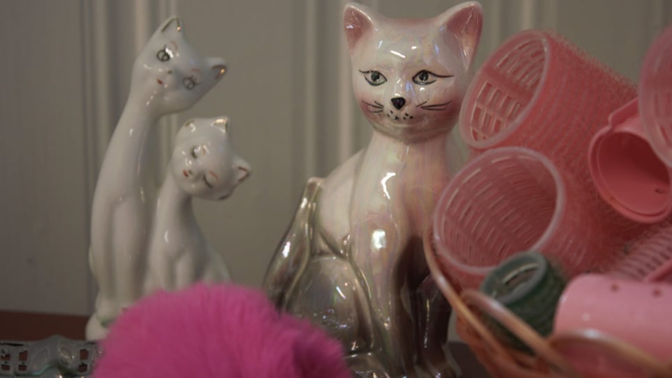 Crazy Cat Lady