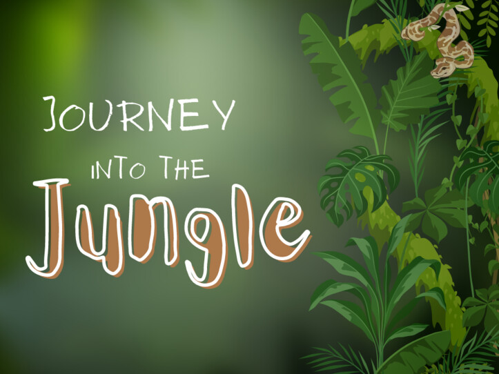 Journey Into The Jungle