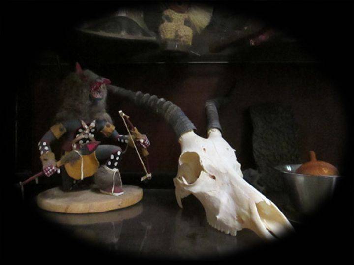 The Curiosity Shop