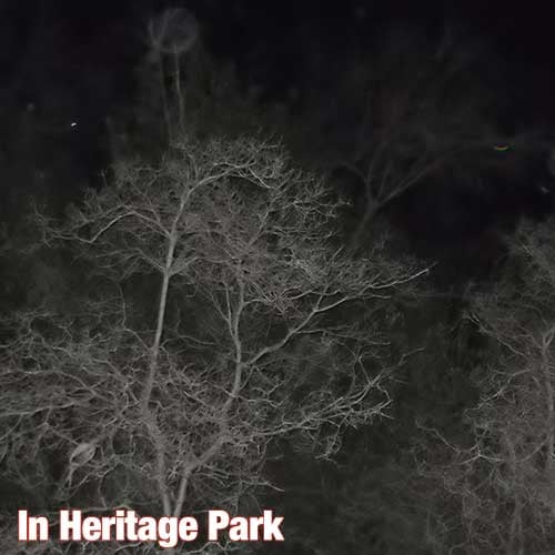 Paranormal Investigation Event