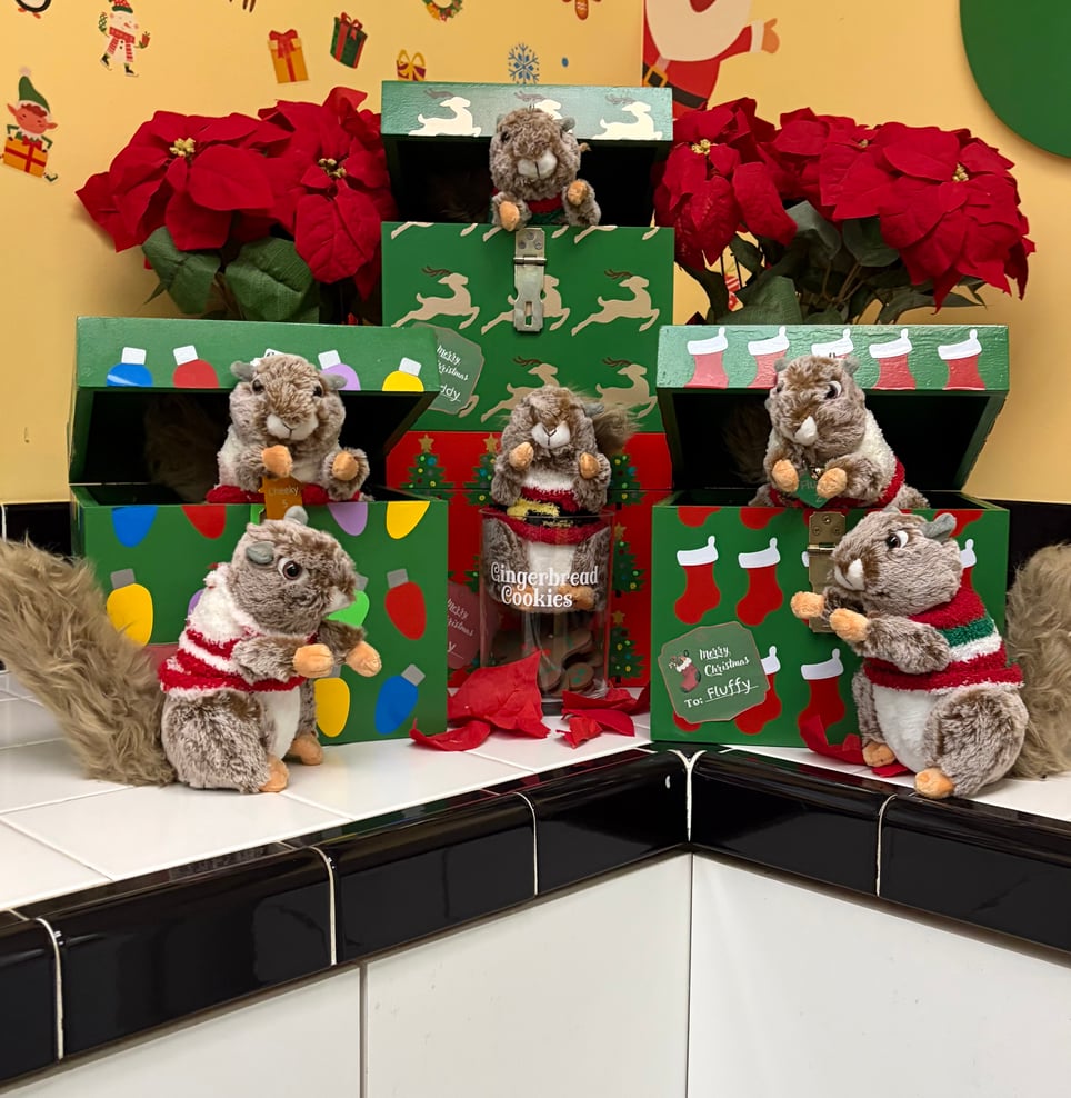 Rewrapped: Noel's New Nutty Christmas