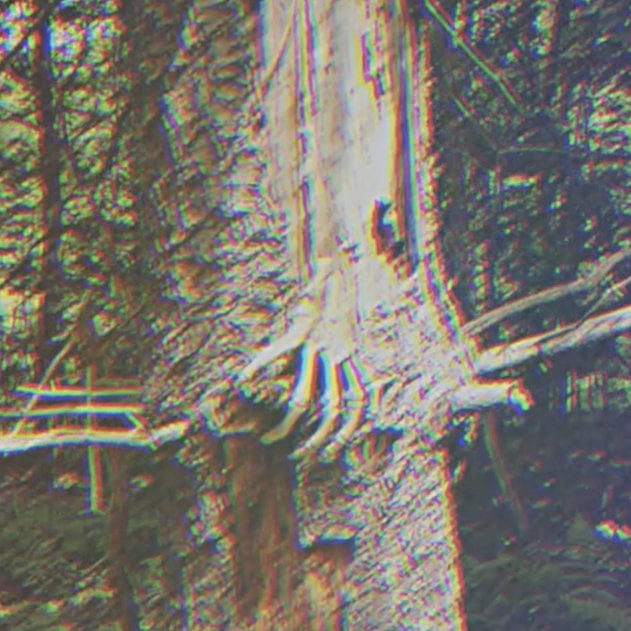The Catskills Killer [Outdoor]