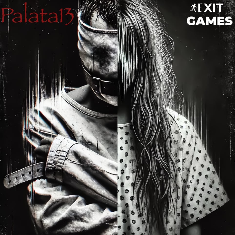 Palata 13