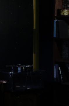 Among the Stars