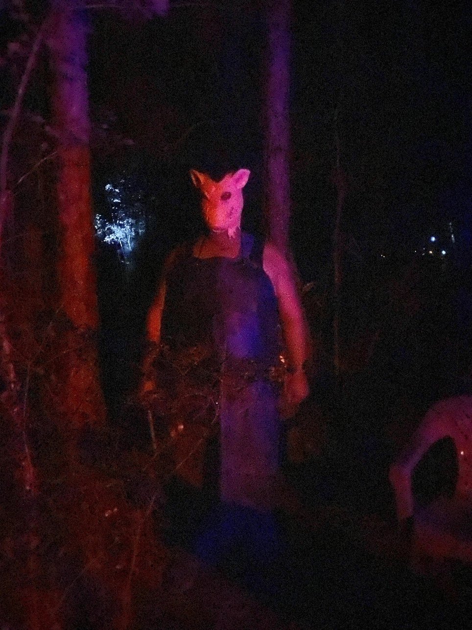 Haunted Trail