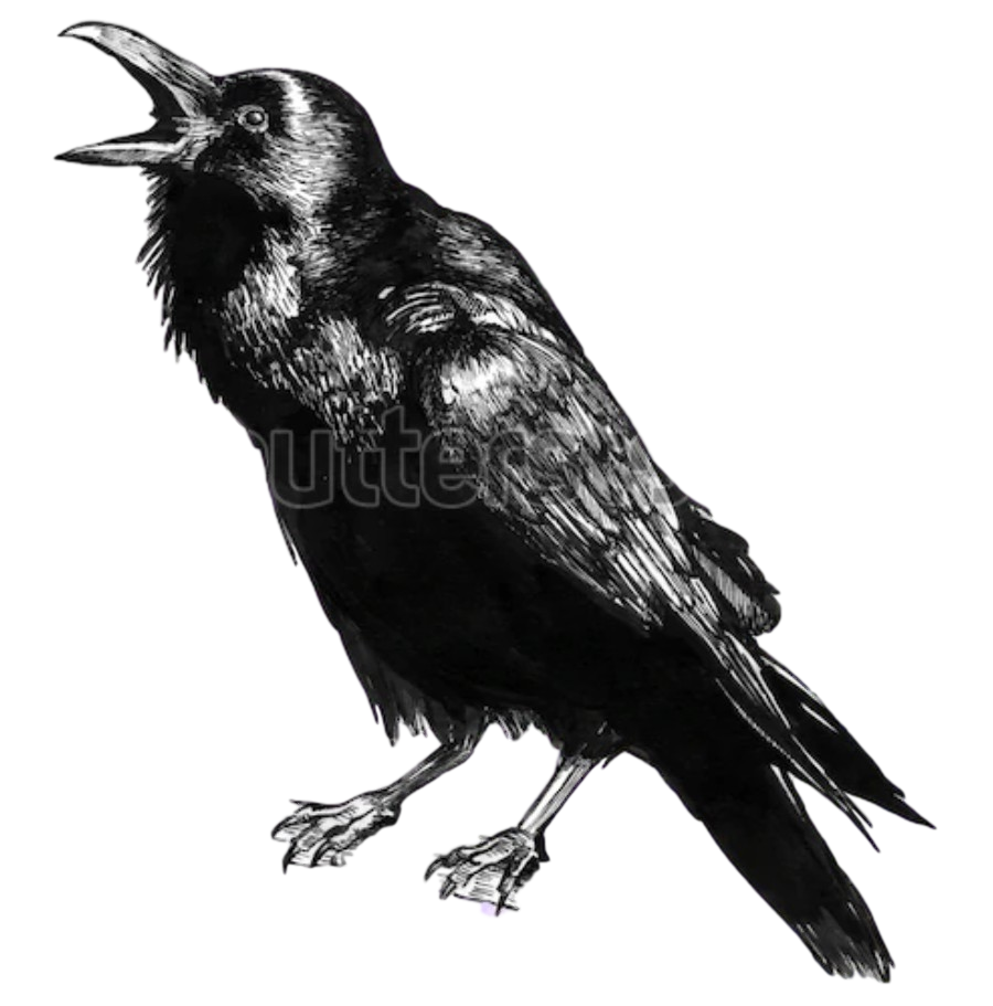 Raven’s Quest