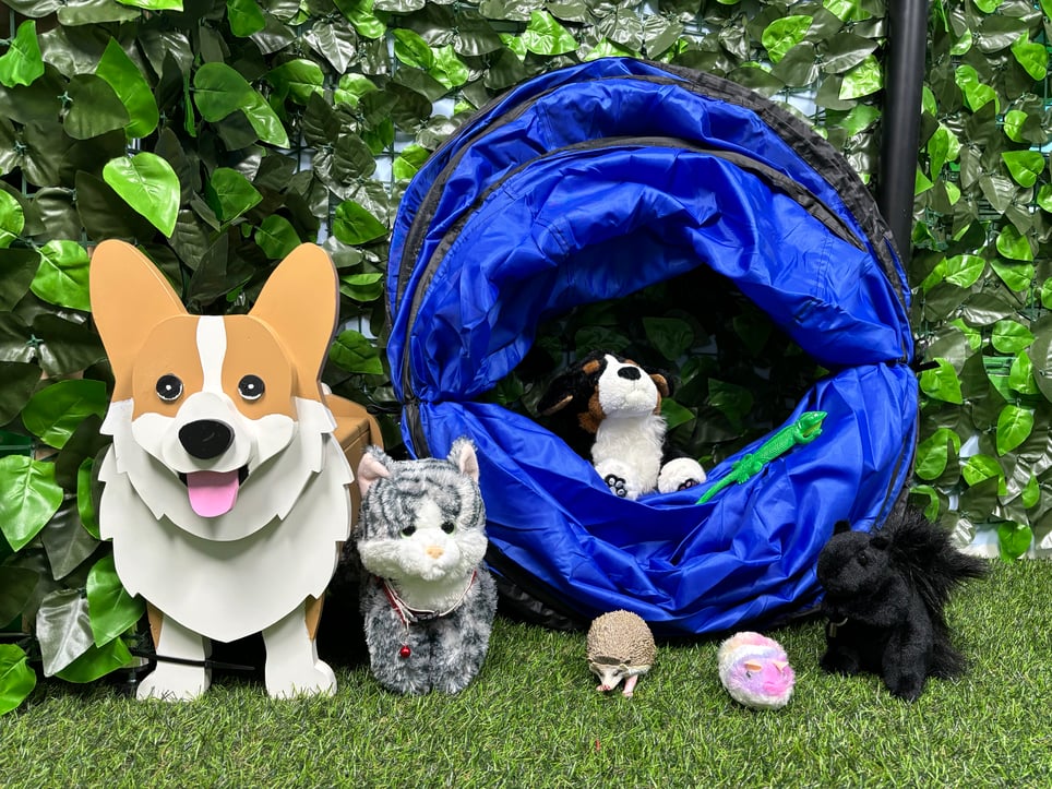 Pet Park Palooza