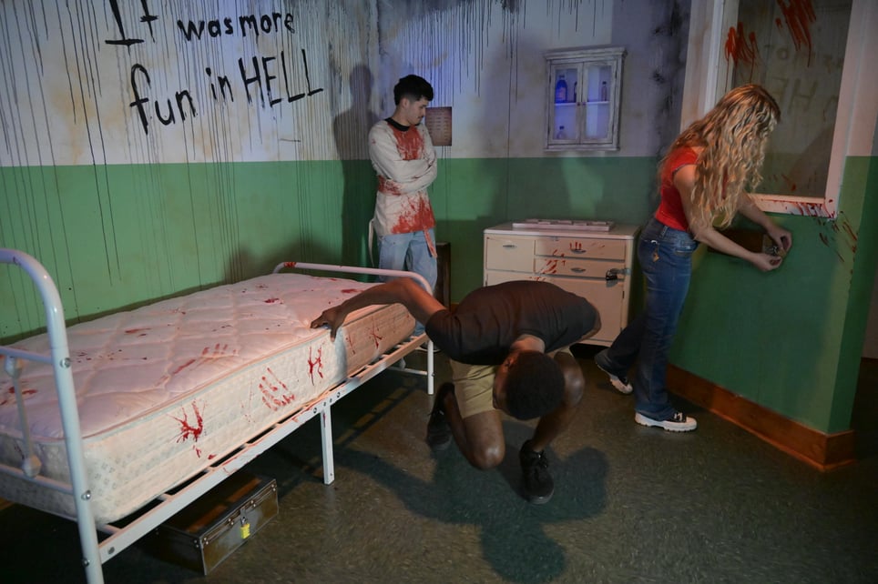 Asylum