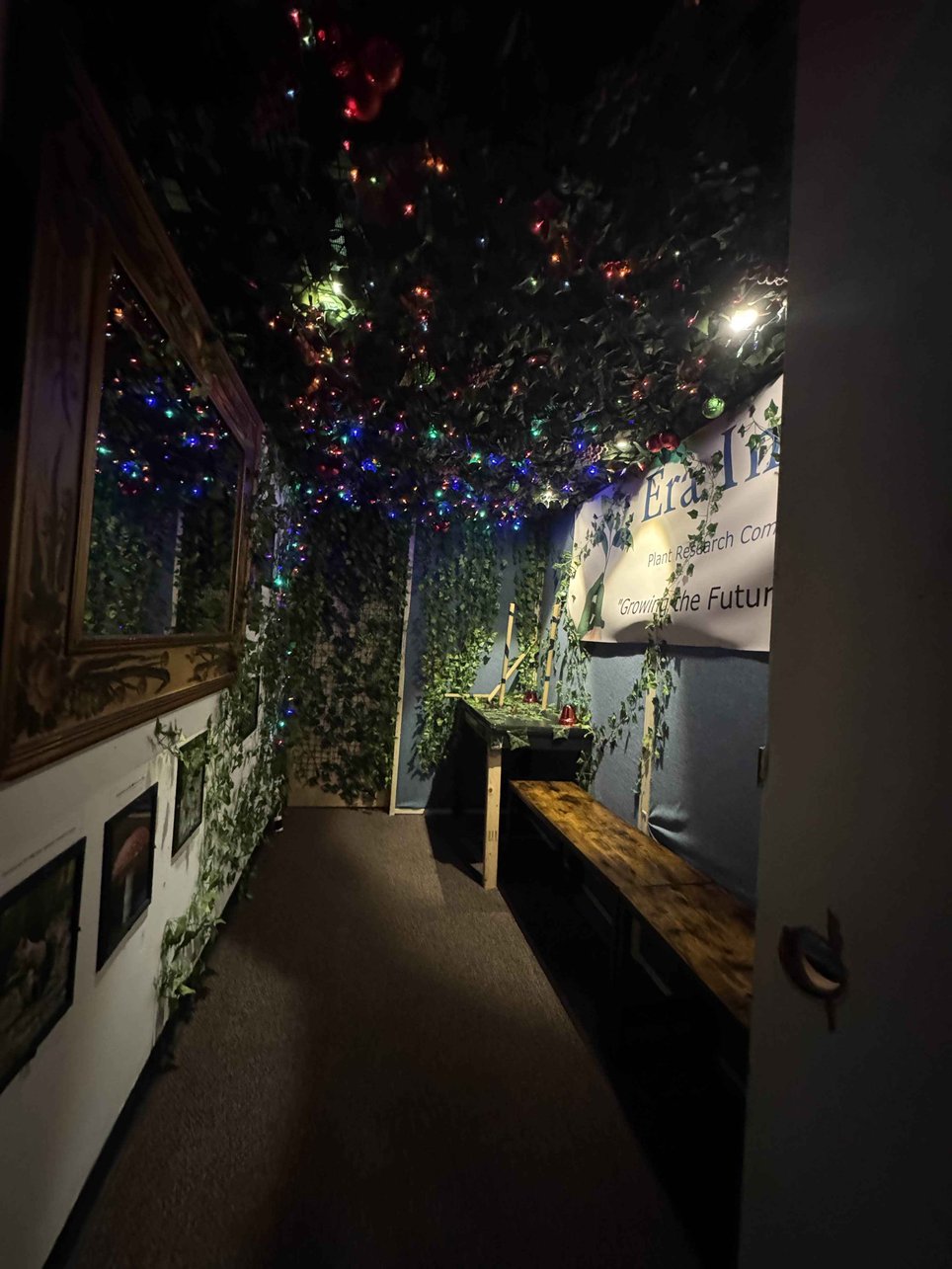 The Overgrown: Christmas Zombies