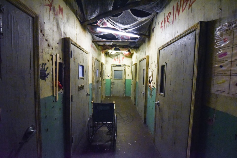 Asylum