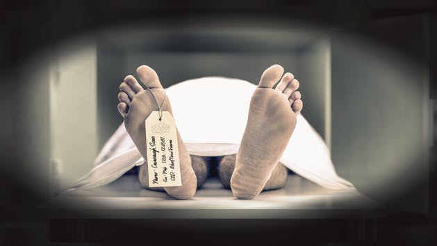 The Morgue