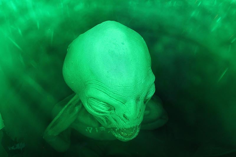Mutant X