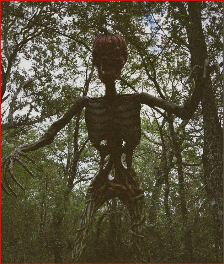 Haunted Trail