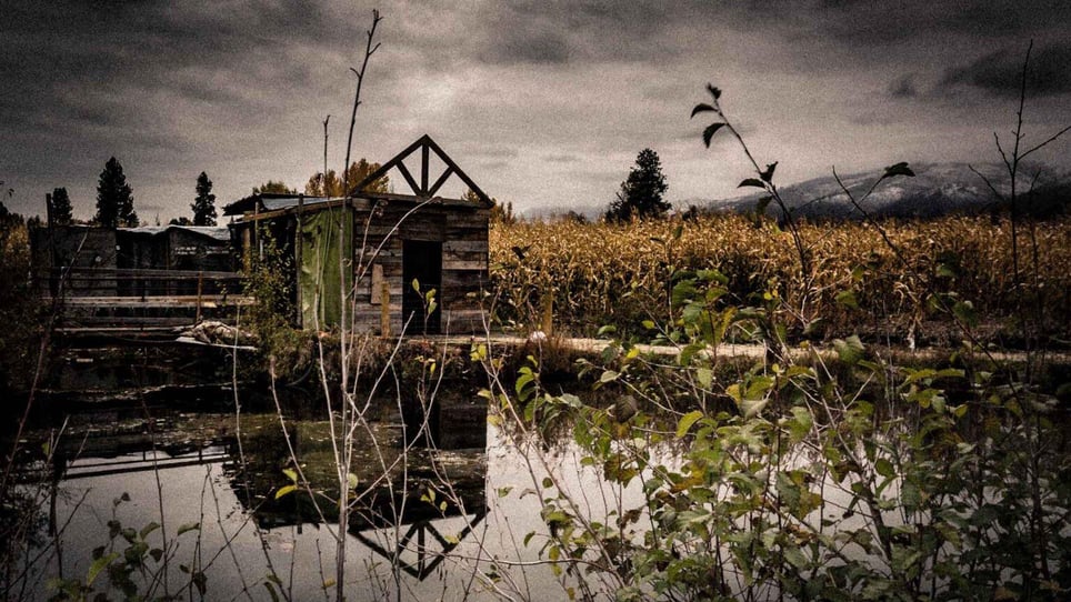 Field Of Screams